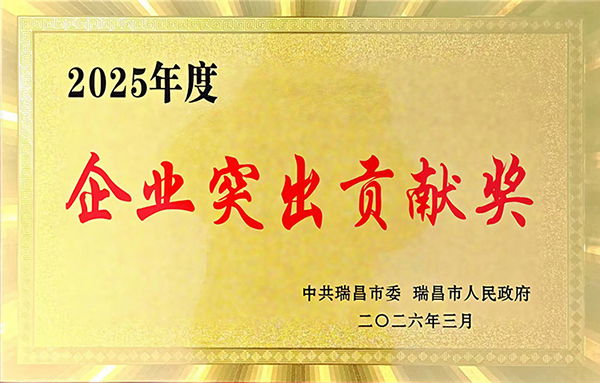 2026年3月13日，瑞昌市召開(kāi)“全市高質(zhì)量發(fā)展暨優(yōu)化營(yíng)商環(huán)境推進(jìn)大會(huì)”，江西亞?wèn)|獲頒